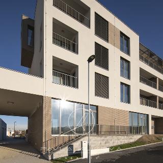 Pronájem bytu 2+kk 61 m² Plzeň