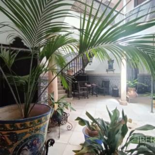 Prodej rodinného domu, 1178m²