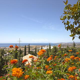 Prodej rodinného domu, 292m&sup2;