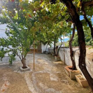 Prodej rodinného domu, 350m²