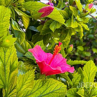 Prodej bytu 2+kk, 38m&sup2;