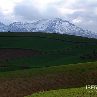 Prodej rodinného domu, 2500m&sup2;