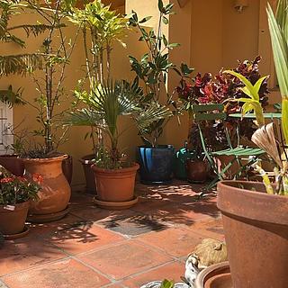 Prodej rodinného domu, 320m&sup2;