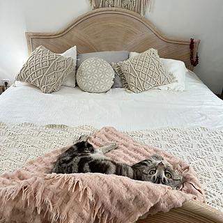 Prodej bytu 5+1 a více, 130m²