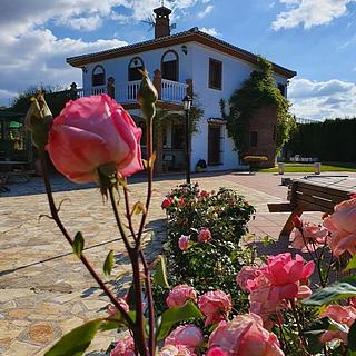 Prodej rodinného domu, 278m&sup2;