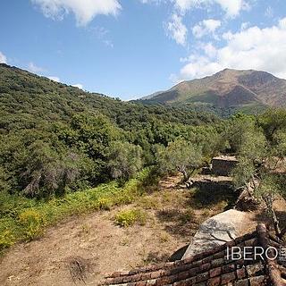 Prodej rodinného domu, 2000m&sup2;