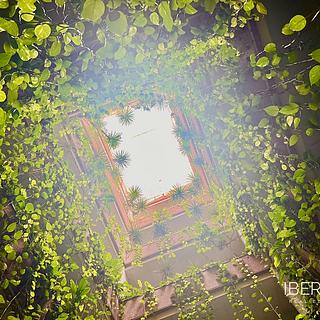 Prodej bytu 3+kk, 81m&sup2;