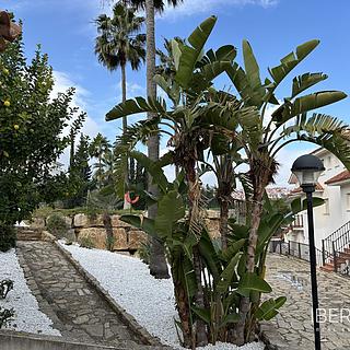 Prodej bytu 4+kk, 97m&sup2;