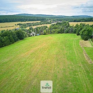 Prodej louky 1 013 m²