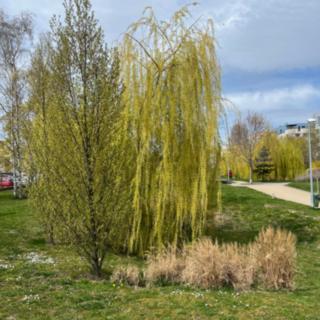 Prodej bytu 3+kk 82 m² Praha
