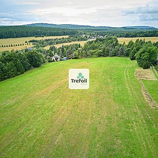 Prodej louky 1 013 m²