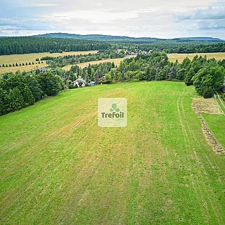 Prodej louky 1 013 m²