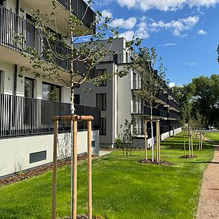 Prodej bytu 2+kk 47 m² Dubí, Ke křížku