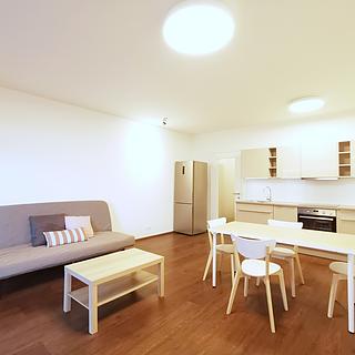 Pronájem bytu 1+kk, garsoniery 43 m&sup2; Praha