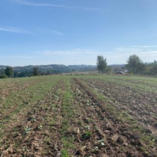 Prodej stavební parcely 9 675 m² Postupice