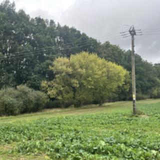 Prodej zemědělské půdy 7001 m² Úhonice