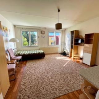 Pronájem bytu 1+kk a garsoniéry 31 m² Plzeň Severní Předměstí, Hodonínská