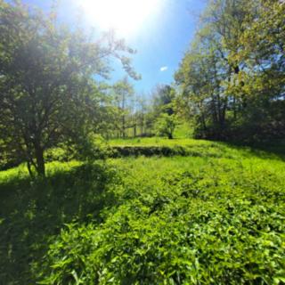Prodej stavební parcely 337 m² Trutnov
