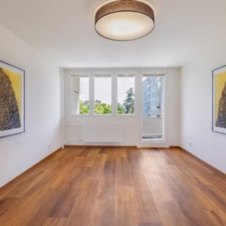 Pronájem bytu 2+1 63 m² Plzeň