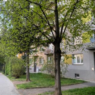 Prodej bytu 3+1 73 m² Praha Záběhlice, Senohrabská
