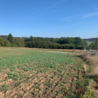 Prodej stavební parcely 9 675 m² Postupice