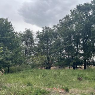 Prodej zemědělské půdy 51051 m² Úhonice