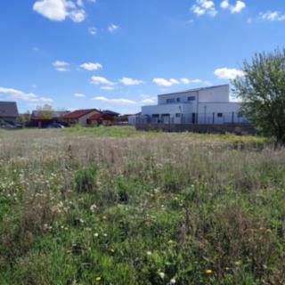Prodej stavební parcely 1551 m² Křenice