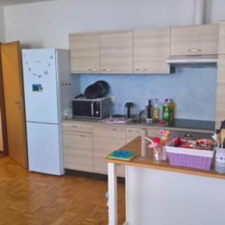 Pronájem bytu 2+kk 65 m² Karlovy Vary Drahovice, Vítězná
