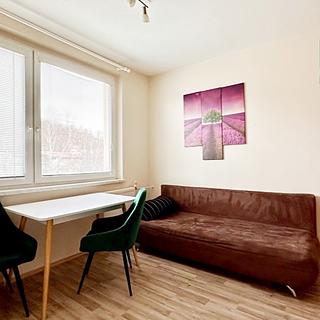 Prodej bytu 1+1 36 m² Karlovy Vary Drahovice, Lidická