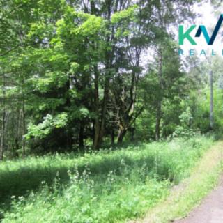Prodej louky 3 354 m² Nejdek