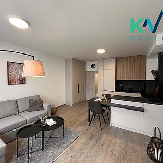 Pronájem bytu 1+kk a garsoniéry 33 m² Ostrov, Myslbekova