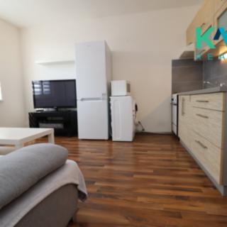 Pronájem bytu 1+1 35 m² Chodov, Tyršova