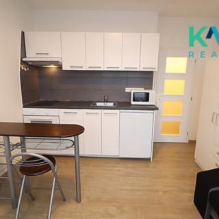 Pronájem bytu 1+kk a garsoniéry 22 m² Sokolov, Mánesova