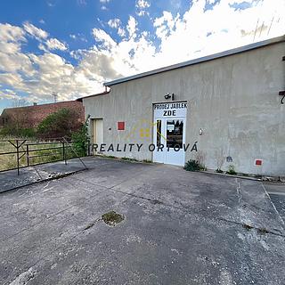 Prodej obchodu 71 m² Častolovice