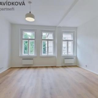 Pronájem bytu 1+1 47 m² Praha