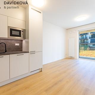 Pronájem bytu 2+kk 46 m² Praha Chodov, Horynova