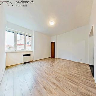 Pronájem bytu 1+kk a garsoniéry 40 m² Praha Nusle, Sdružení