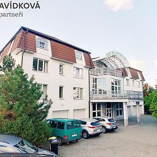 Pronájem bytu 1+kk, garsoniery 28 m² Průhonice