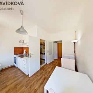 Pronájem bytu 1+1 38 m² Praha Karlín, Sokolovská