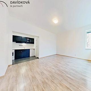 Pronájem bytu 1+kk a garsoniéry 40 m² Praha Nusle, Sdružení