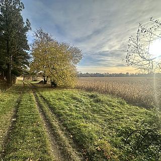 Prodej zahrady 1 002 m² Pardubice