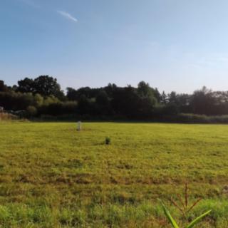 Prodej stavební parcely 795 m² Čechočovice