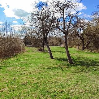 Prodej stavební parcely 150 m&sup2; Vísky