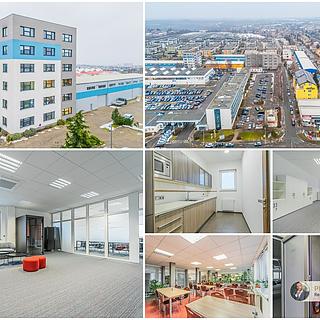 Pronájem kanceláře, 258m&sup2;