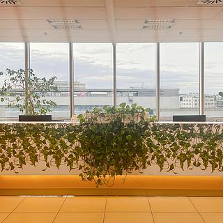 Pronájem Ostatních komerčních prostor 5 m² Praha