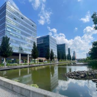 Pronájem kanceláře 50 m² Brno