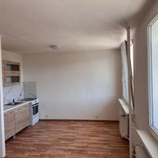 Pronájem bytu 4+1 73 m² Litvínov, Hamerská