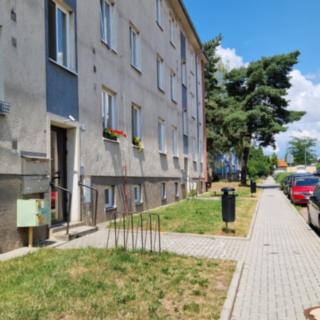 Pronájem bytu 2+1 50 m² Mohelnice, 1. máje