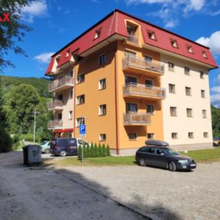 Pronájem bytu 2+kk 40 m² Lipová-lázně Horní Lipová