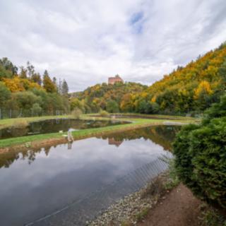 Prodej zemědělského objektu 467 m² Mírov